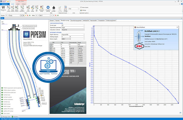 Download Schlumberger PIPESIM 2020.1.717.x64 Free Full Version