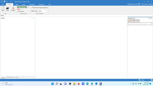 Schlumberger Symmetry 2020.3 Build 43 (x64)