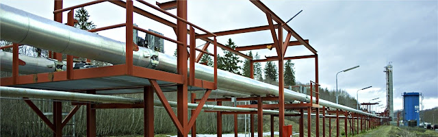 Kongsberg LedaFlow Engineering 2.6.260.024 & Multiflash v6.2.61