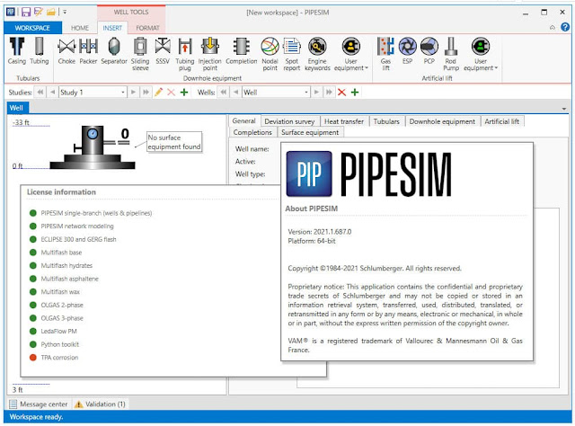 Schlumberger PIPESIM 2021.1.687 x64